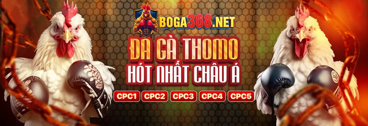 Đá Gà Trực Tuyến w188 app 2026